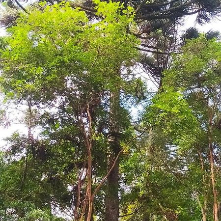 Chacara Rancho Paraiso Piraquara Exteriér fotografie