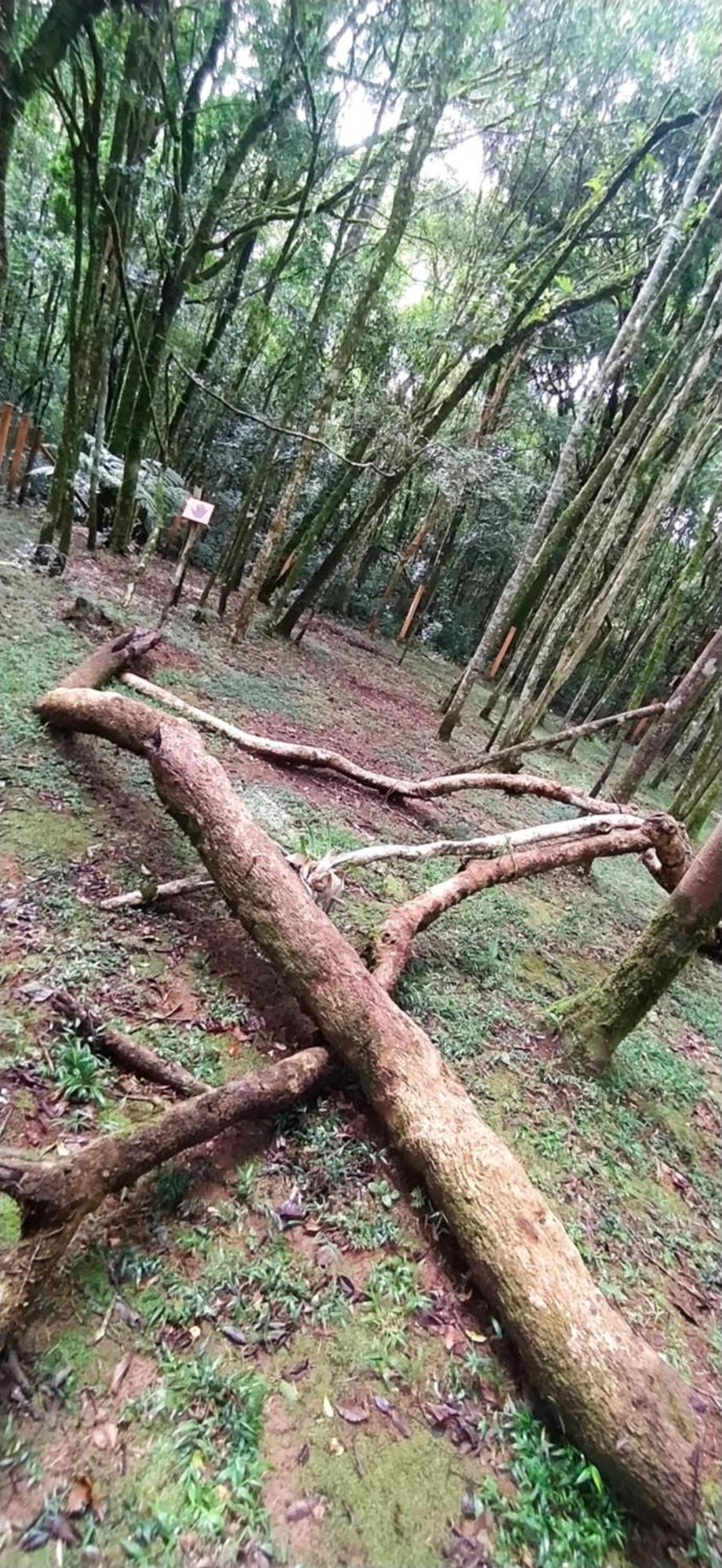 Chacara Rancho Paraiso Piraquara Exteriér fotografie