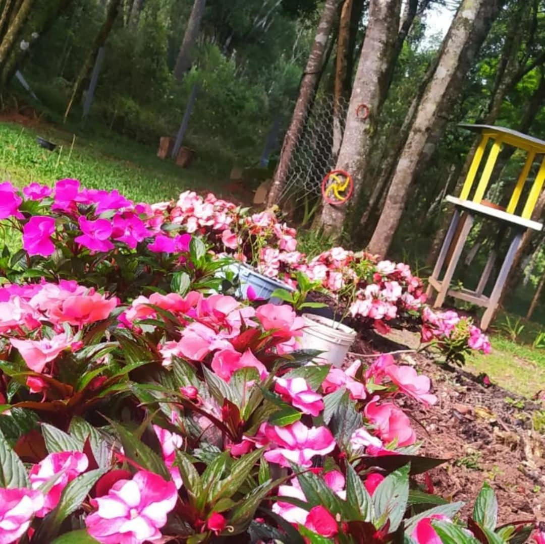 Chacara Rancho Paraiso Piraquara Exteriér fotografie