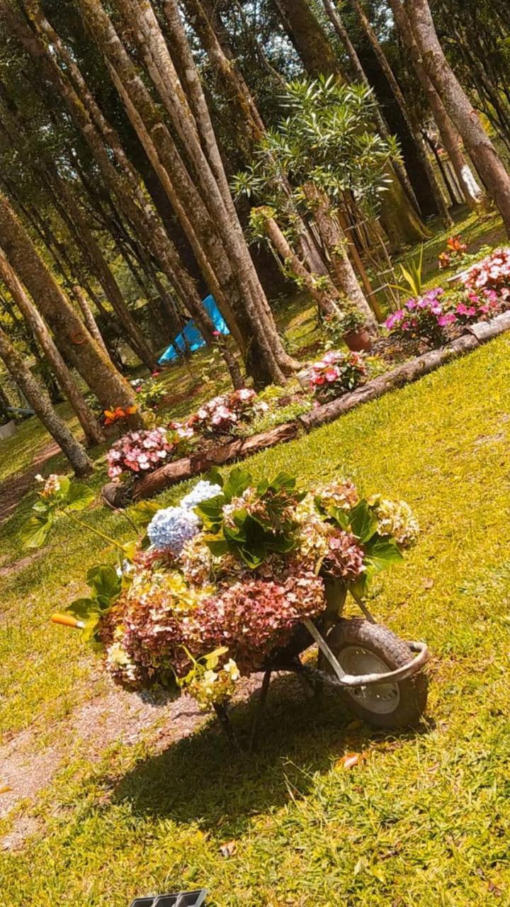 Chacara Rancho Paraiso Piraquara Exteriér fotografie